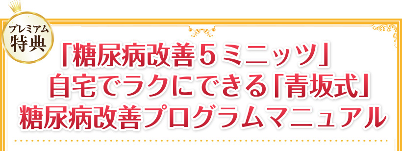 >「視力回復アイスマイル1.0　自宅でラクラク視力アップ法」マニュアル